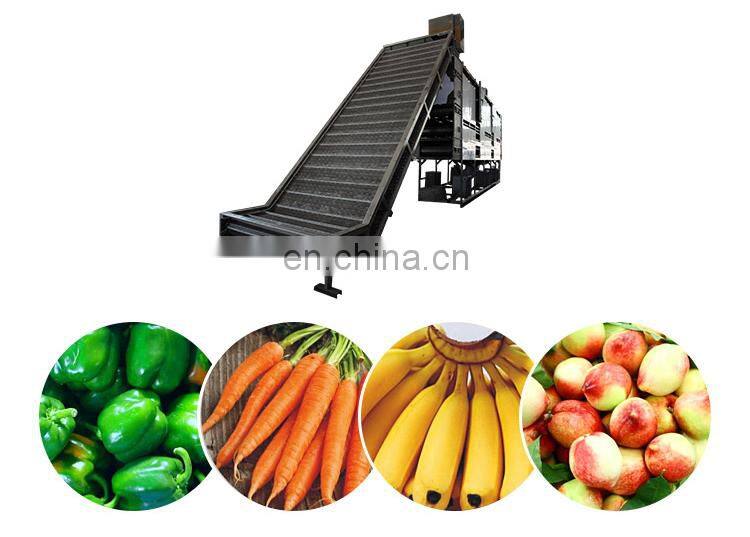 Hot sale industrial automatic stainless steel fruit belt conveyor machine price