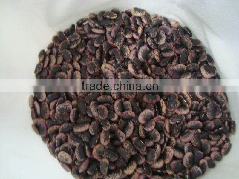 Large Black Speckled Kidney Beans, max. 55/100gr