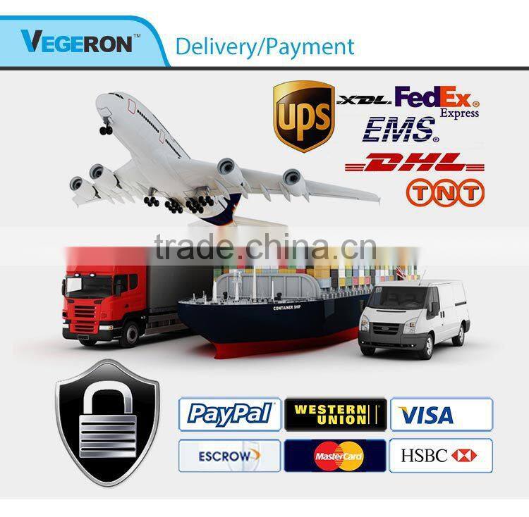 window display high quality fiberglass female torso mannequin