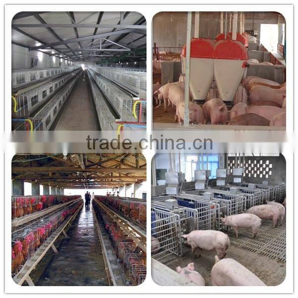 plastic incubator egg tray plastic egg trays cheap plastic serving trays