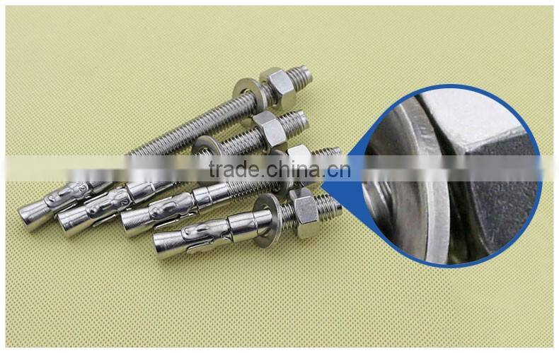 Expansion Anchor Bolt/ Bolt Anchor