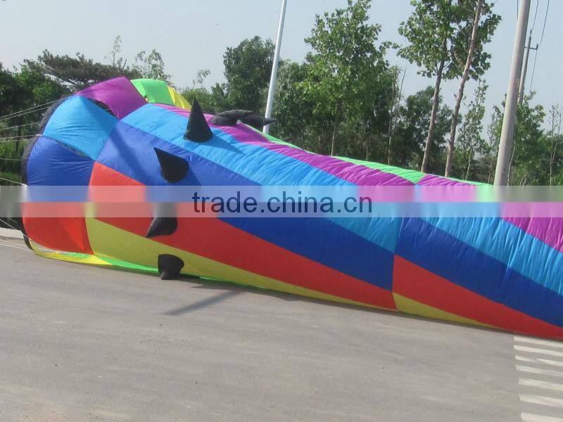 large windsock kite