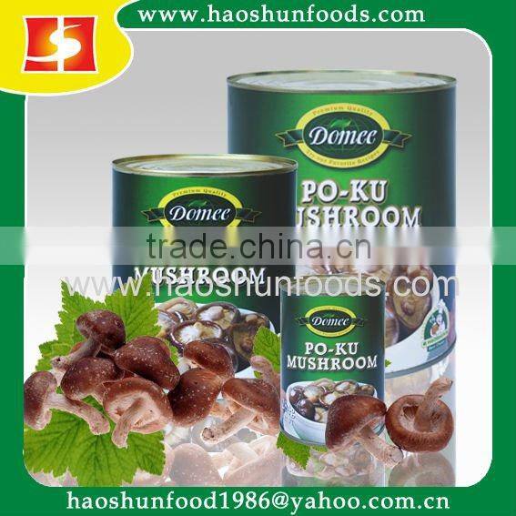 Canned Shitake Mushroom