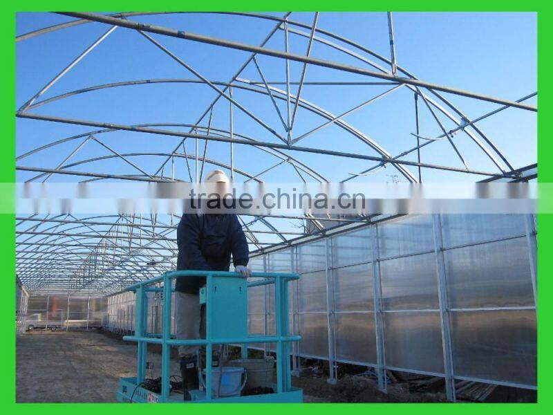 Vegetable-growing Greenhouse-commercial greenhouses