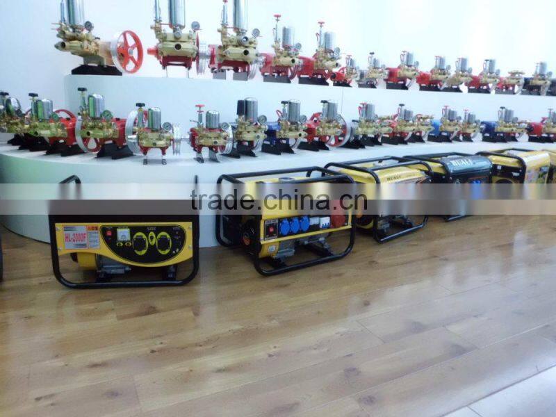 110V 220V 230V Single Phase AC Synchronous Generator