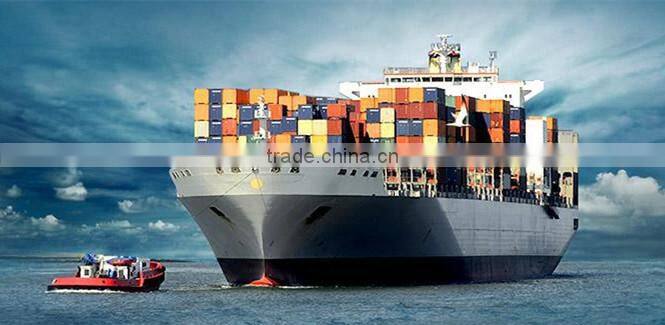 New 20Y-32-31320 PC200-7 track shoe 800mm ,excavator undercarriage parts