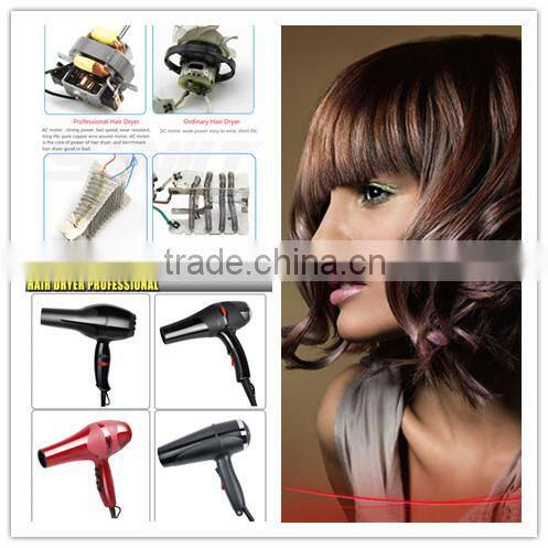 Hot Styler Salon Ionic personal care and hairdressing 2200 Watts Quick Quiet Hair Dryer