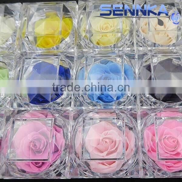 Good market Fresh rose with variety of colors, gift , ring box on sale