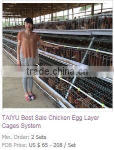 Kenya Nairobi Warehouse 120 160 and 256 birds Chicken Layer Cage