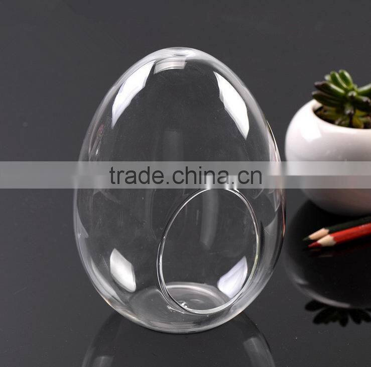 clear egg shape glass Vase glass micro Landscape bottle