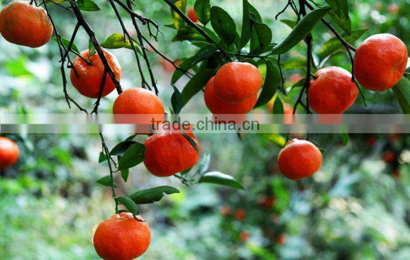 agriculture application oil good regulator fulvic acid