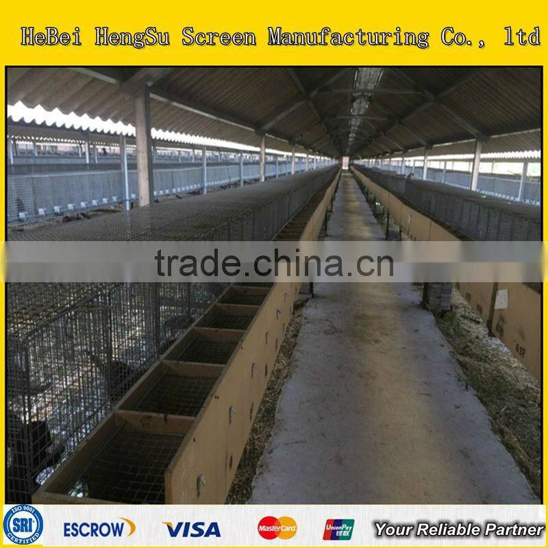 Welded Wire Mesh Mink Cage