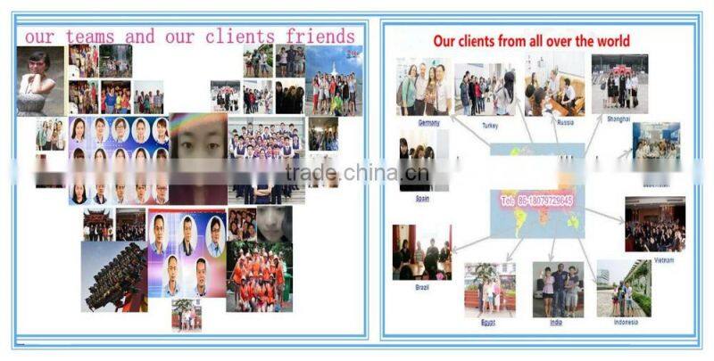 German design 316 stainless steel GHL Series High Efficient high shear mixer granulators granules