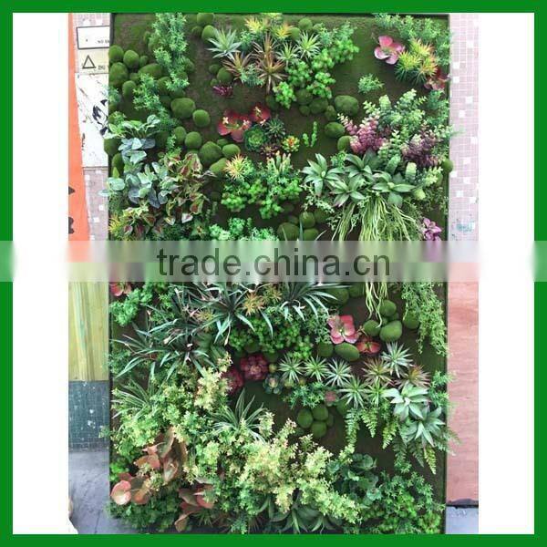 FO-GW018 Outdoor Green Plant Wall for Decor