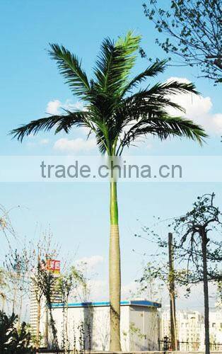 Home garden edging decorative 5ft to 16ft Height outdoor artificial green plastic palm trees EDS06 0844