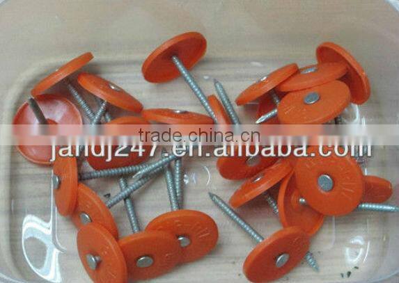 Factory Price Ring Nail with Orange Plastic Cap
