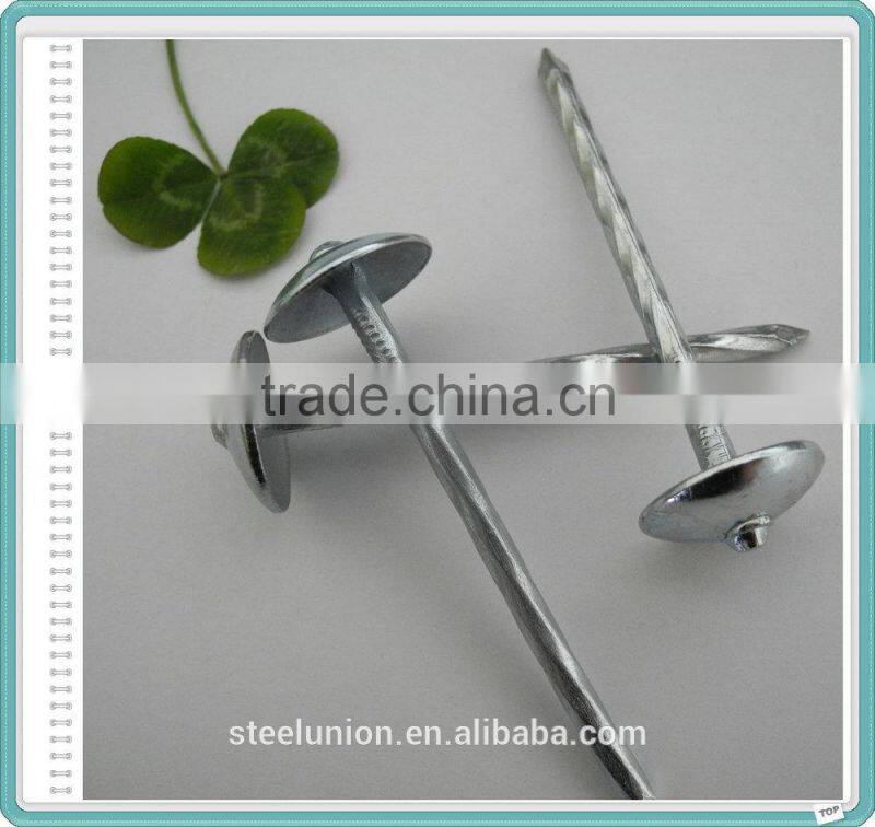 Hot Supply Galvanized Umbrella Head Roofing Nails