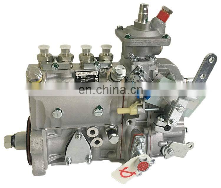Weifu 4BT Diesel Engine Fuel Injection Pump 4A128 3974628