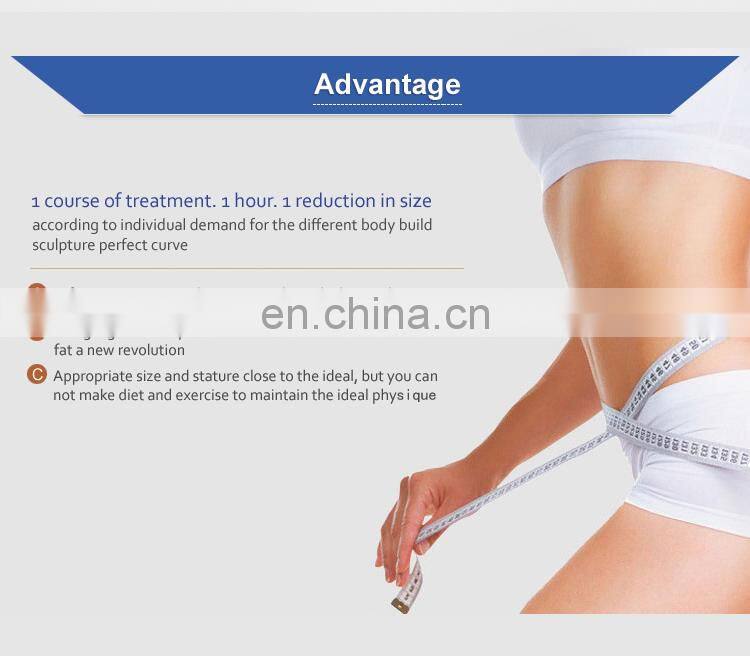 2019 Portable liposonic with 8mm and 13mm cartridges with effective for body slimming
