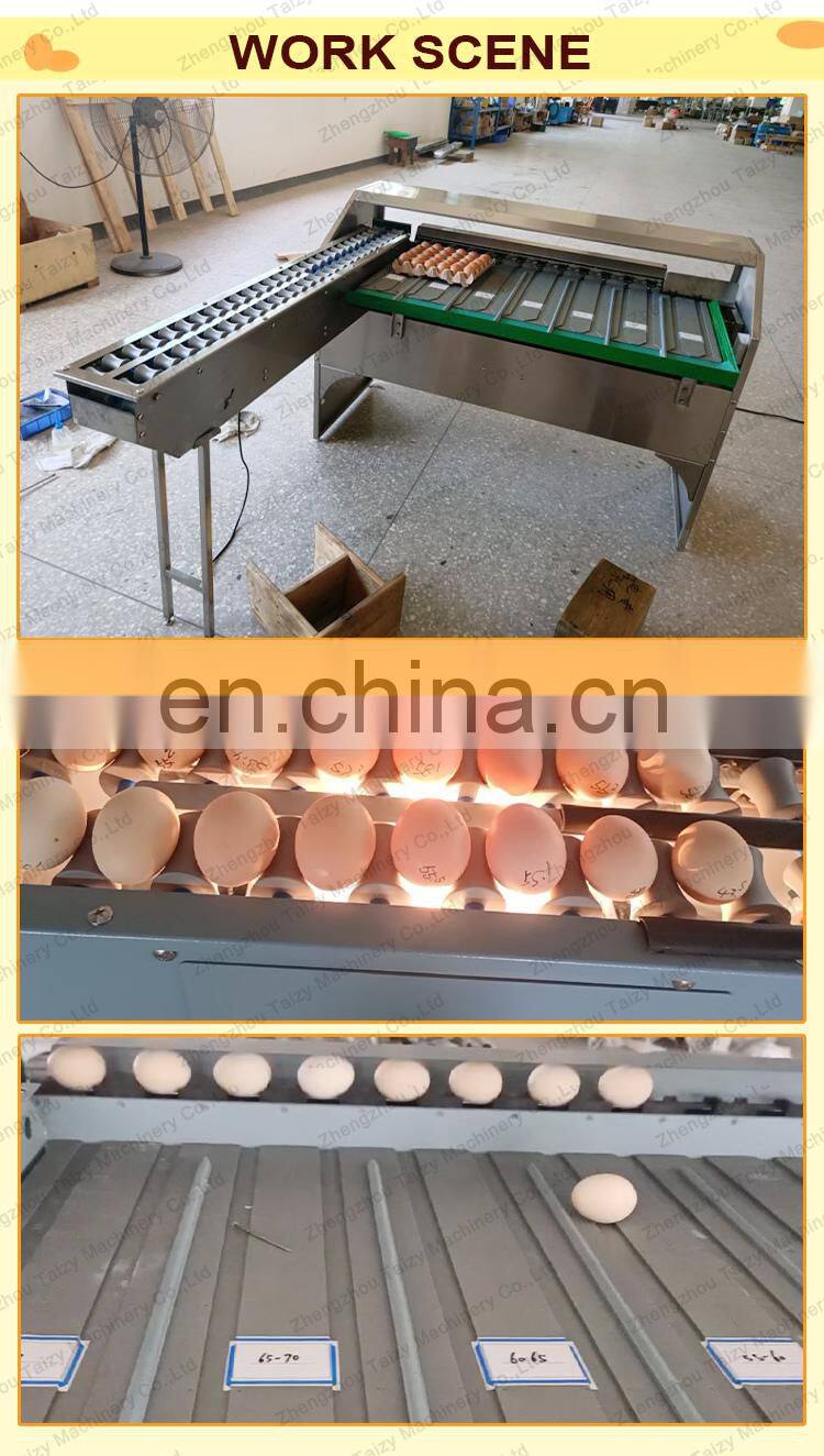 commercial chicken egg grading machine egg sorting grading machinery