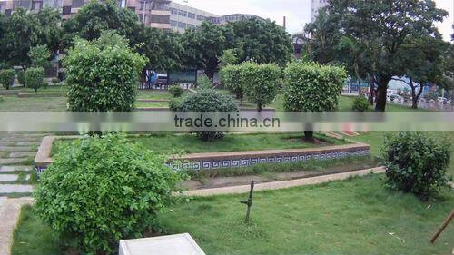 Sport Video Full HD Police Cameara