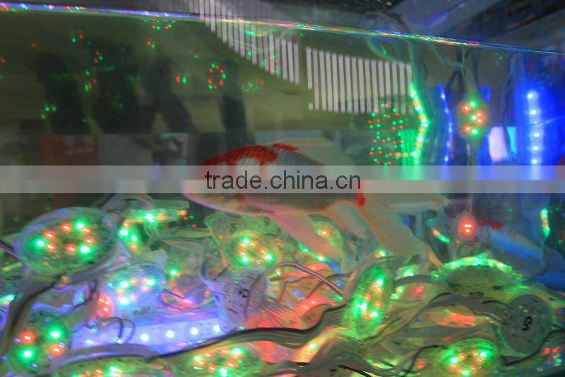 IP68 waterproof & fireproof light led for pool decor