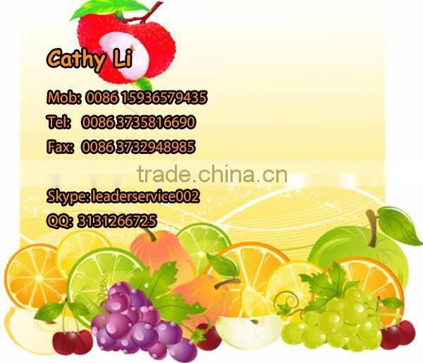 Leader high efficiency sea buckthorn fruit juice production machine