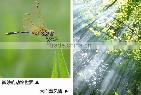 Commlite Rubber Follow Focus Ring for All Zooming Lens with Size from 52mm to 86mm.