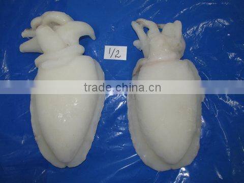 FROZEN CUTTLEFISH WHOLE CLEANED I F