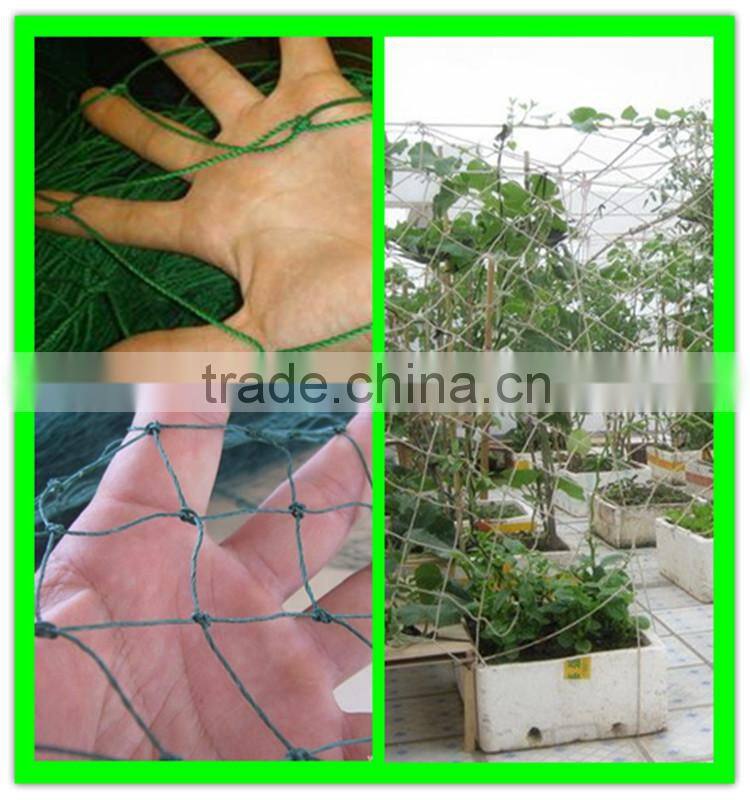 100% new material PE plastic tomato climbing net add UV additives