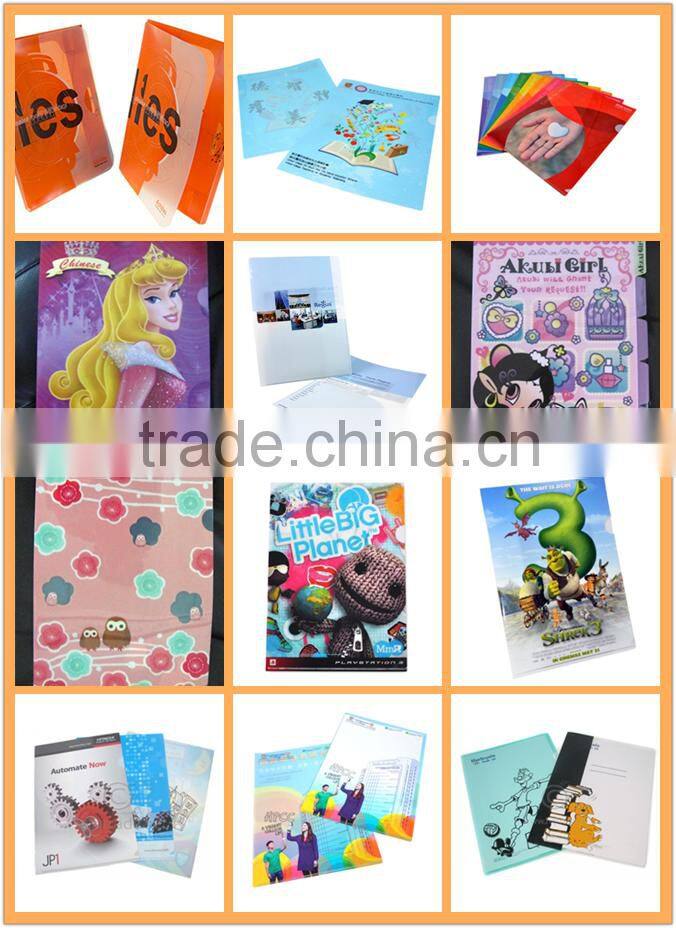 High Quality Business File Folder Printing A4 L Folder
