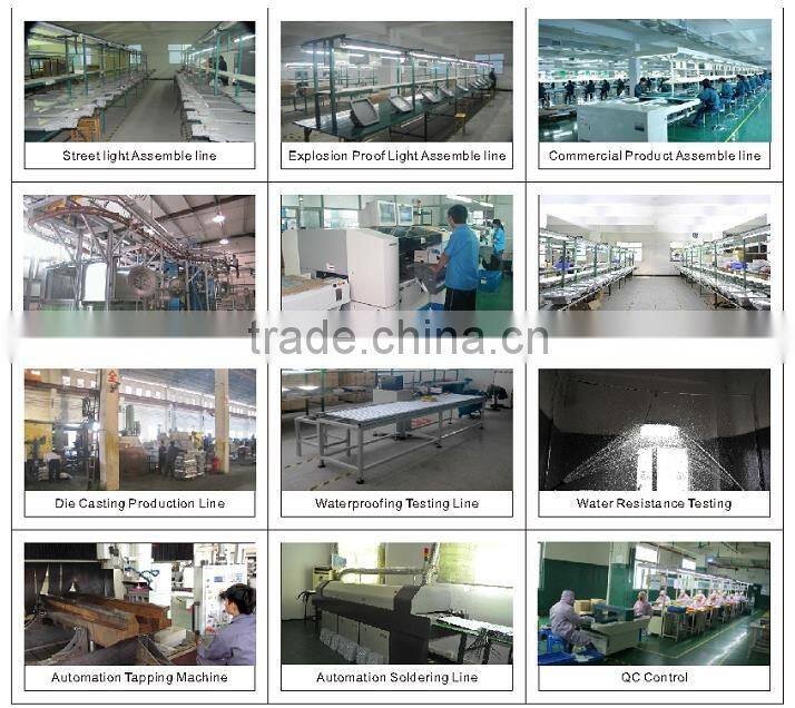 Cold White 120Beam Angle FESTOON Base 5 Years Warranty Explosion Proof Lighting Led