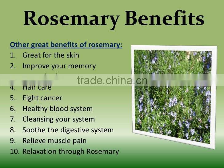 Premium Quality Rosemary Loose Tea