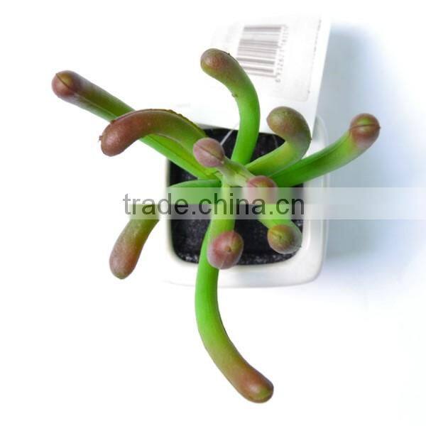 artificial succulent with special shape and mixed color