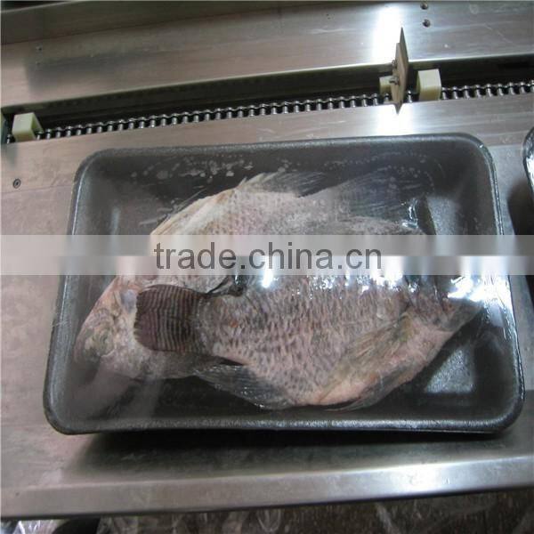 Pillow Type Frozen Seafood, Fish Shrink Packaging Machine