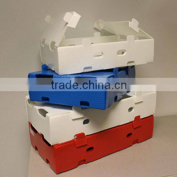 Plastic fruit storage box for keeping fruit fresh