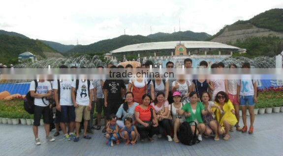 pure sine wave 100 watt power inverter 12v 220v