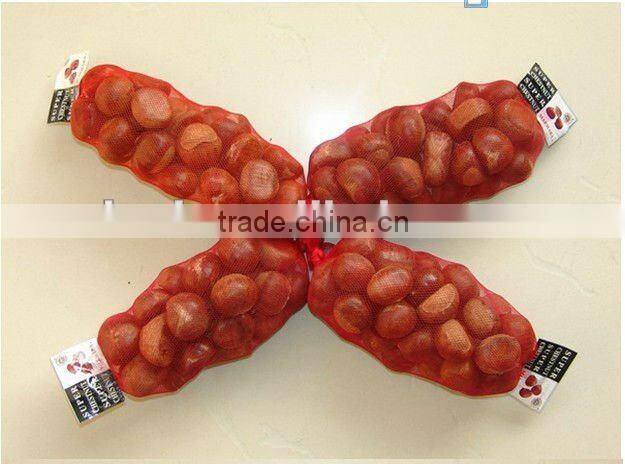 high quality 5kg gunny bag fresh chinese chestnut for Jordan