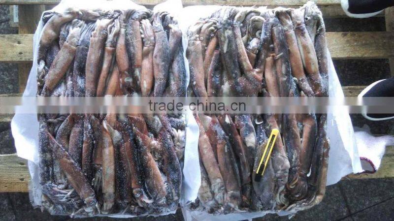 Frozen Illex Argentinus Squid Whole 100g down