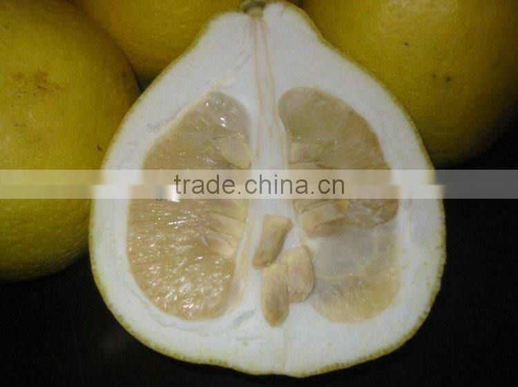 Guanxi pomelo