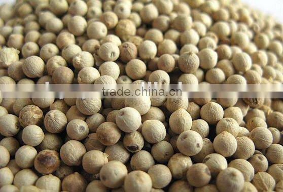 White pepper