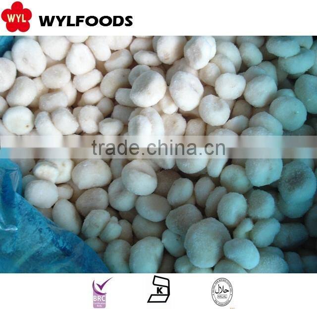 Top quality Frozen seaweed salad 2015