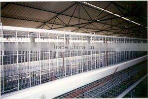Poultry Cages
