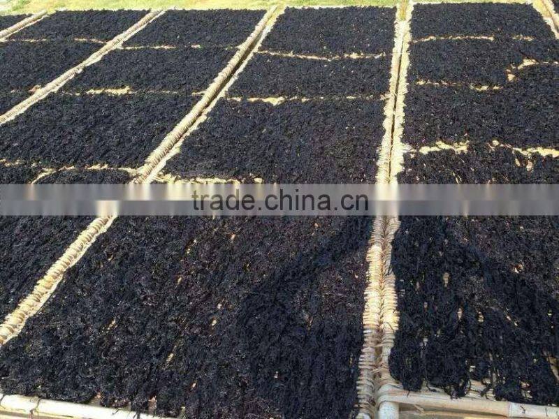 Natural laver seaweed,seaweed sheets,wholesale dried seaweed,nori flakes,sea moss