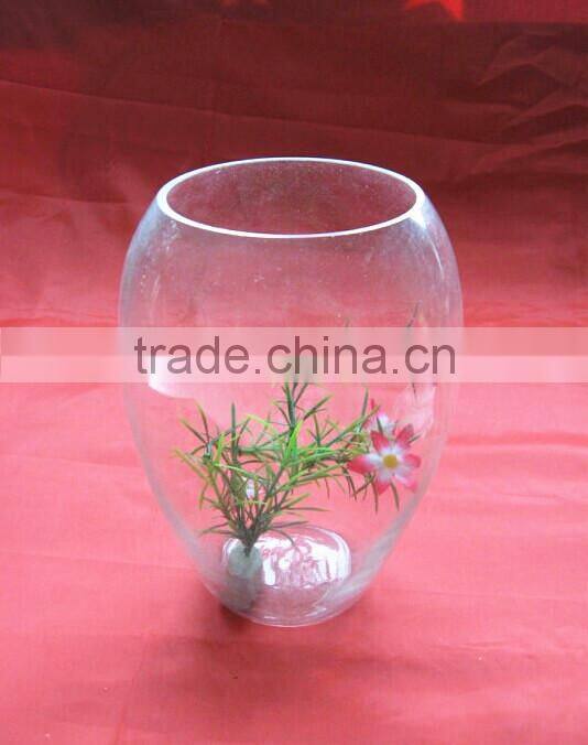 clear glass vase fish farm