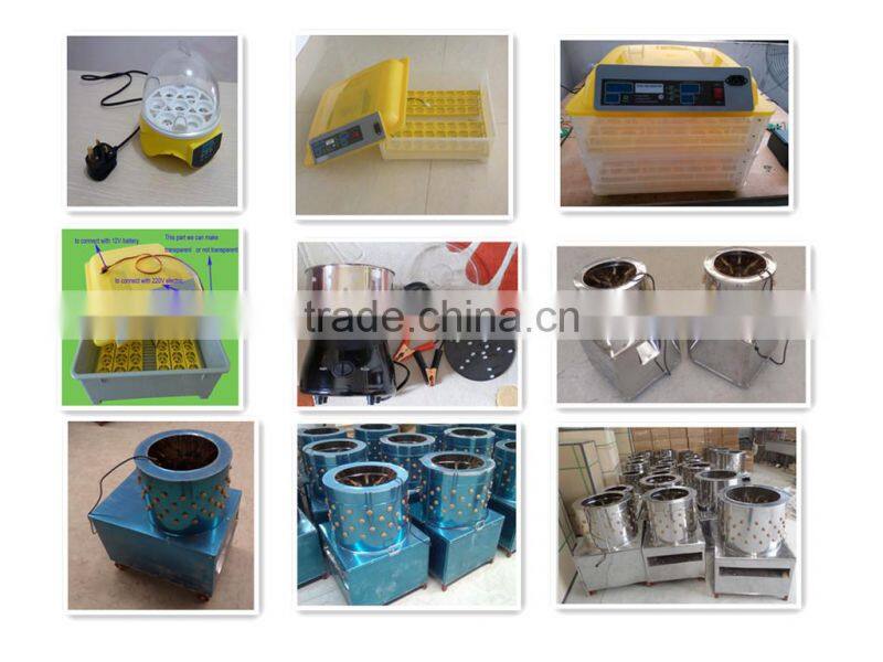 newly designed full automatic bird eggs incubator