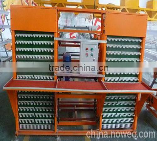 Automatic egg collect machine for layer chicken farm