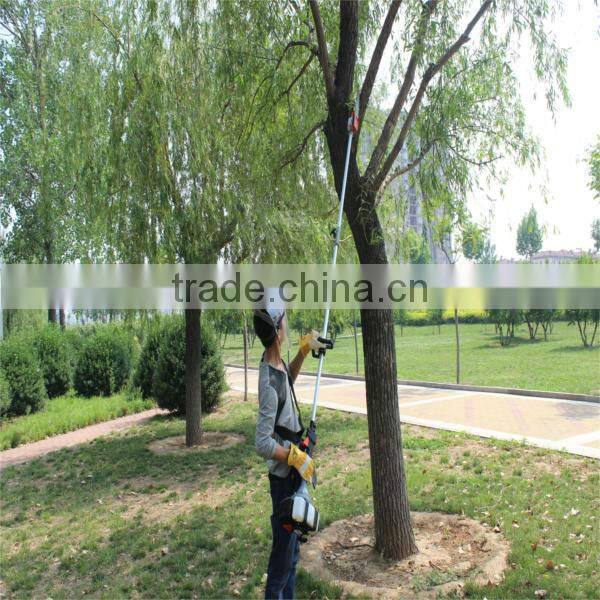 hot sales gardening 2stroke poratble pole chain saw