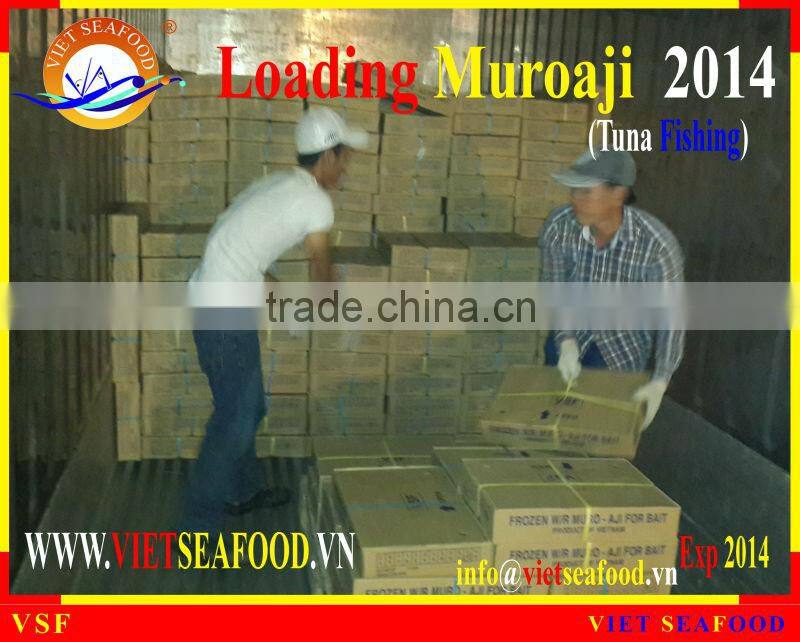 LOADING MUROAJI FOR TUNA BAIT