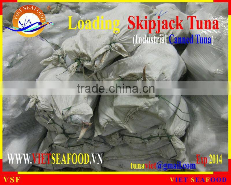 LOADING SKIPJACK TUNA W/R